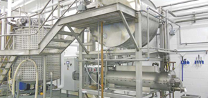 Hohberger continuous fondant systems machine